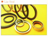 Sealink  LIP Seal